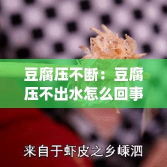 豆腐壓不斷:豆腐壓不出水怎么回事