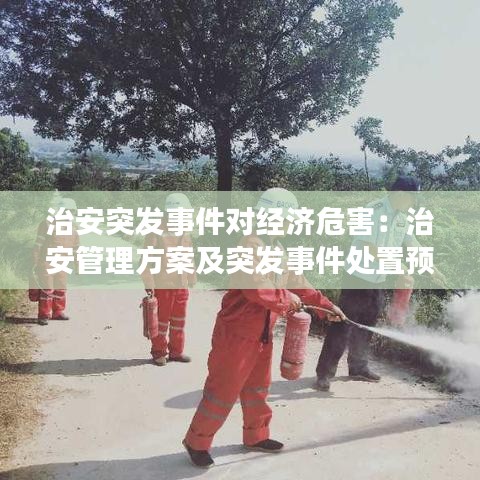 治安突發(fā)事件對經(jīng)濟(jì)危害:治安管理方案及突發(fā)事件處置預(yù)案