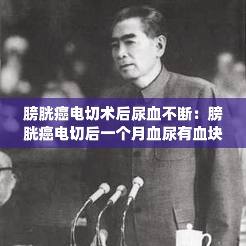 水浄鵝飛 第3頁