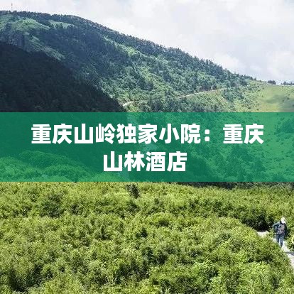 重慶山嶺獨家小院:重慶山林酒店
