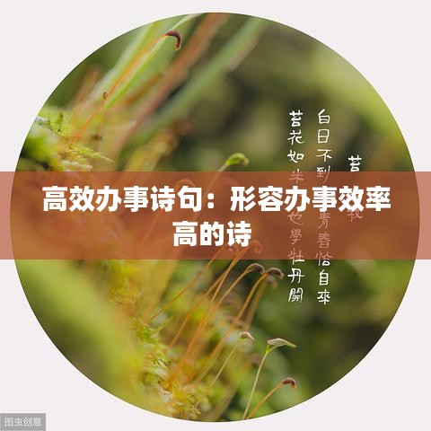 高效辦事詩(shī)句:形容辦事效率高的詩(shī)