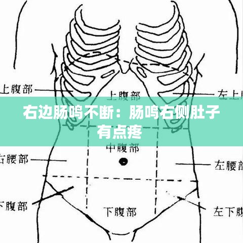 右邊腸鳴不斷:腸鳴右側肚子有點疼