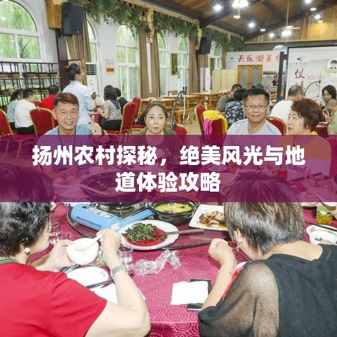 揚州農村探秘,絕美風光與地道體驗攻略