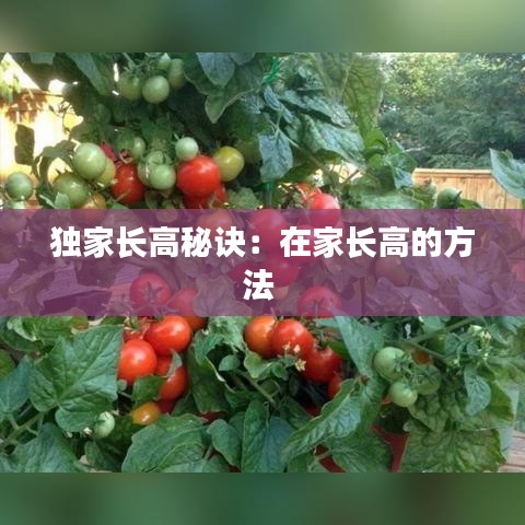 獨(dú)家長(zhǎng)高秘訣:在家長(zhǎng)高的方法