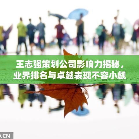 王志強策劃公司影響力揭秘，業界排名與卓越表現不容小覷