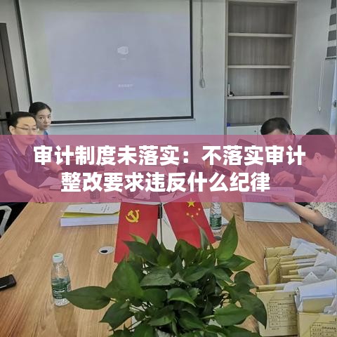 審計(jì)制度未落實(shí):不落實(shí)審計(jì)整改要求違反什么紀(jì)律