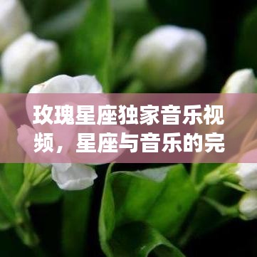 玫瑰星座獨家音樂視頻,星座與音樂的完美交融