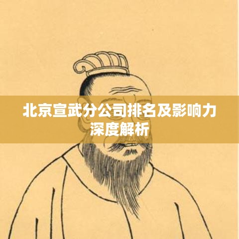 北京宣武分公司排名及影響力深度解析