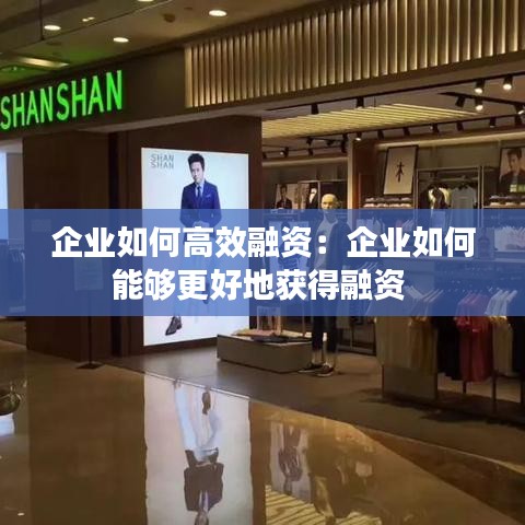 企業(yè)如何高效融資:企業(yè)如何能夠更好地獲得融資