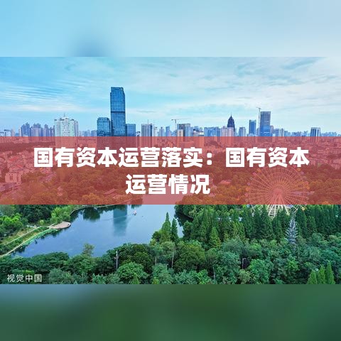 國有資本運營落實:國有資本運營情況