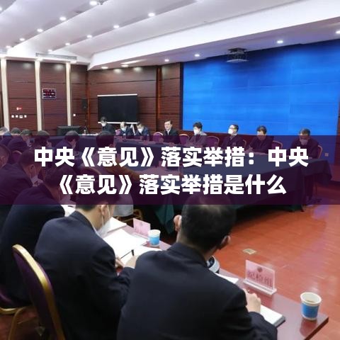 中央《意見》落實(shí)舉措:中央《意見》落實(shí)舉措是什么