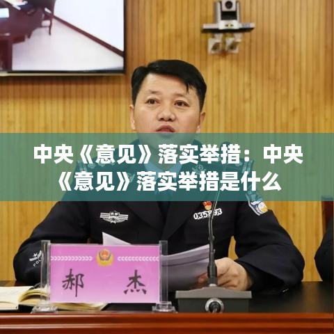 中央《意見》落實(shí)舉措:中央《意見》落實(shí)舉措是什么