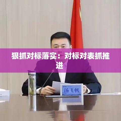 狠抓對標落實:對標對表抓推進