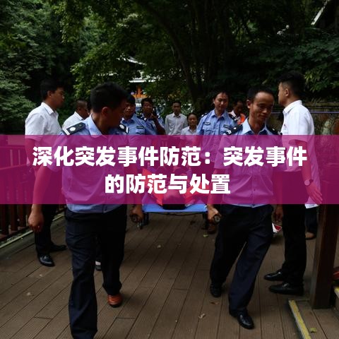 深化突發(fā)事件防范:突發(fā)事件的防范與處置