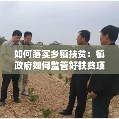 如何落實(shí)鄉(xiāng)鎮(zhèn)扶貧:鎮(zhèn)政府如何監(jiān)管好扶貧項(xiàng)目
