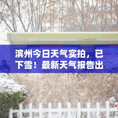 濱州今日天氣實拍,已下雪!最新天氣報告出爐