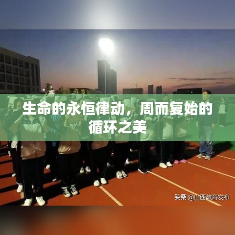生命的永恒律動,周而復始的循環之美