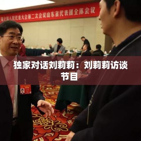 獨家對話劉莉莉：劉莉莉訪談節目 