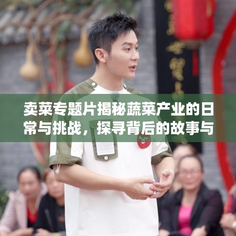 賣菜專題片揭秘蔬菜產(chǎn)業(yè)的日常與挑戰(zhàn),探尋背后的故事與挑戰(zhàn)