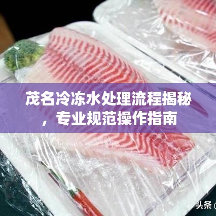茂名冷凍水處理流程揭秘,專業規范操作指南