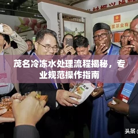茂名冷凍水處理流程揭秘,專業規范操作指南