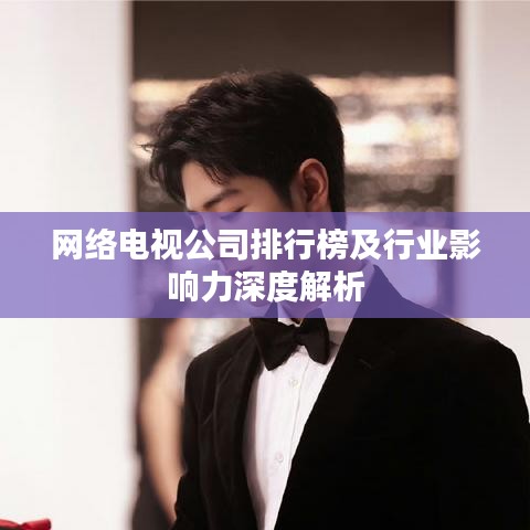 網絡電視公司排行榜及行業影響力深度解析