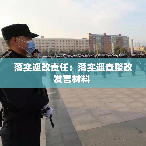 落實巡改責任:落實巡查整改發言材料