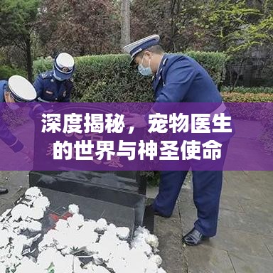 深度揭秘,寵物醫生的世界與神圣使命