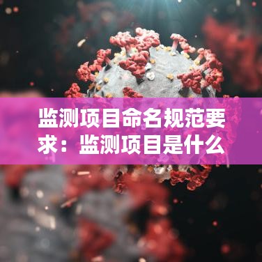 監測項目命名規范要求：監測項目是什么意思 