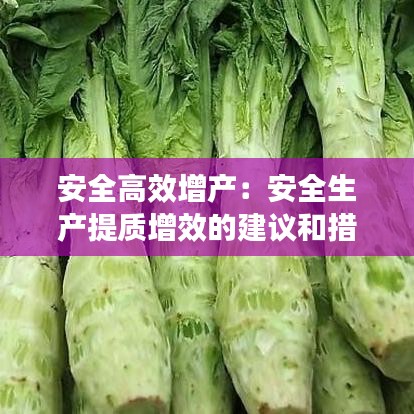 安全高效增產:安全生產提質增效的建議和措施