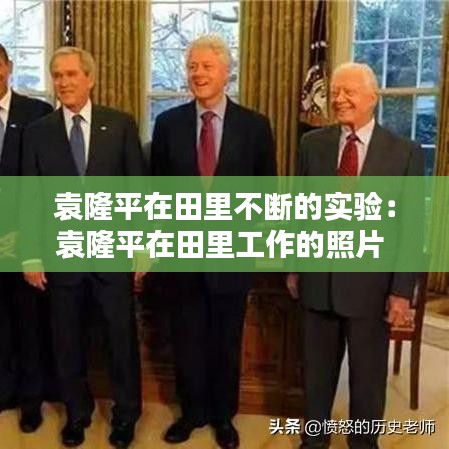 袁隆平在田里不斷的實驗:袁隆平在田里工作的照片