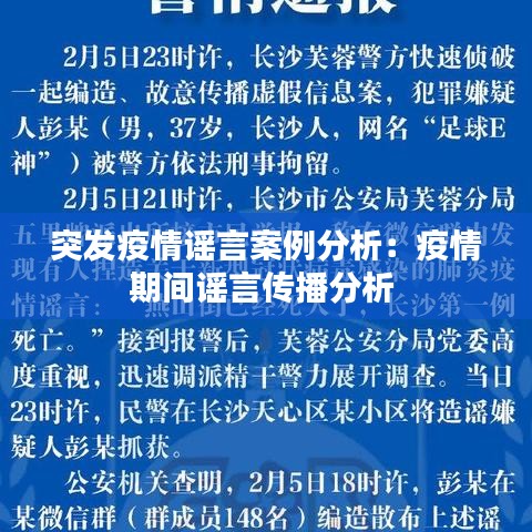 突發疫情謠言案例分析:疫情期間謠言傳播分析