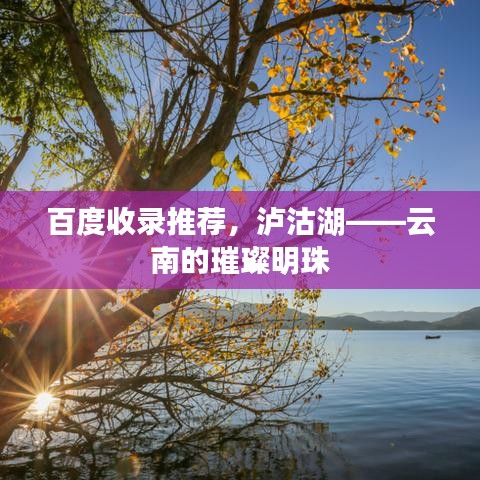 窗明幾凈 第3頁