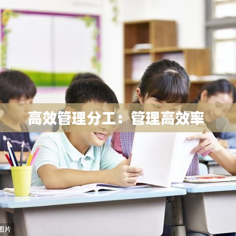 高效管理分工:管理高效率