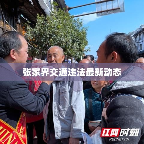 張家界交通違法最新動(dòng)態(tài)