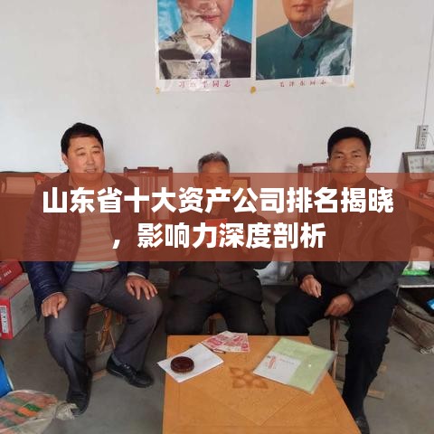 山東省十大資產公司排名揭曉,影響力深度剖析