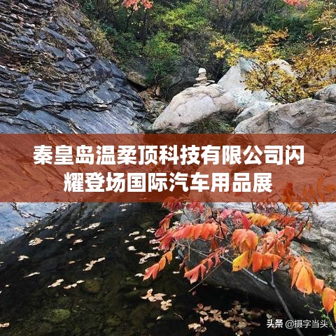 秦皇島溫柔頂科技亮相國際汽車用品展,引領行業新潮流