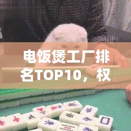 電飯煲工廠排名TOP10,權威榜單揭曉