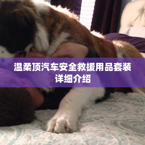 溫柔頂汽車安全救援用品套裝介紹,全方位保障您的行車安全