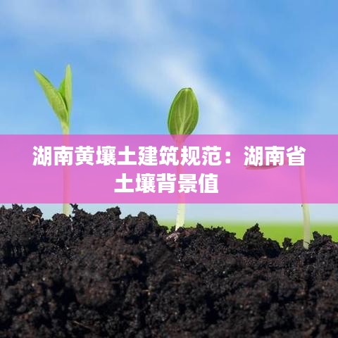 湖南黃壤土建筑規范:湖南省土壤背景值