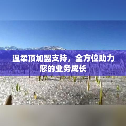 溫柔頂加盟全力支持,助您業務蓬勃發展