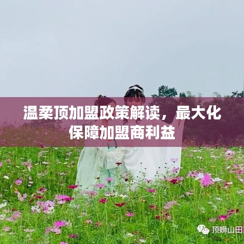 溫柔頂加盟政策詳解,最大化保障加盟商利益