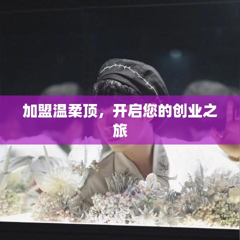 加盟溫柔頂,創(chuàng)業(yè)啟程啟航