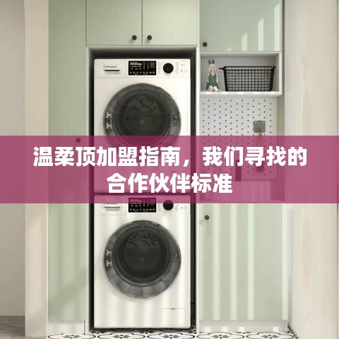 溫柔頂加盟手冊，合作伙伴招募標準詳解