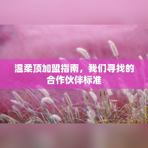 溫柔頂加盟手冊,合作伙伴招募標準詳解