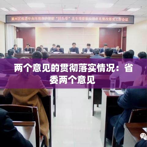 兩個(gè)意見(jiàn)的貫徹落實(shí)情況:省委兩個(gè)意見(jiàn)