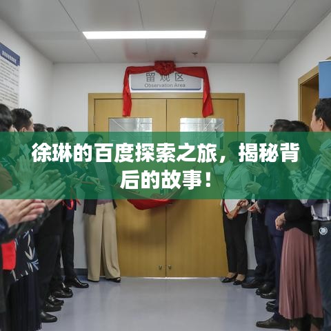 徐琳的百度探索之旅,揭秘背后的故事!