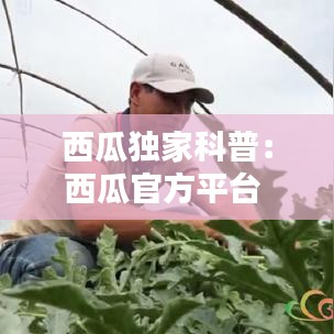 西瓜獨家科普:西瓜官方平臺