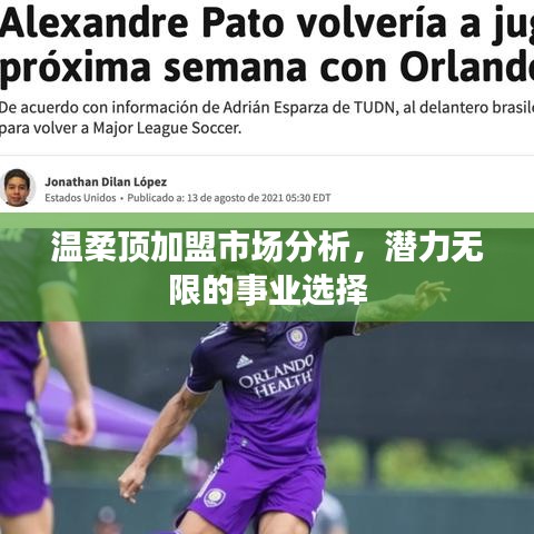 溫柔頂加盟市場深度解析,事業潛力無限選擇