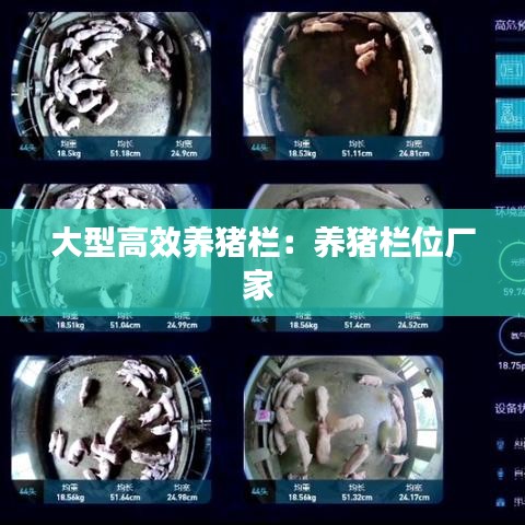 大型高效養豬欄:養豬欄位廠家